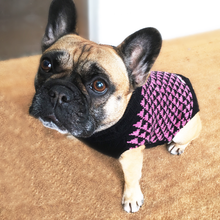 Indlæs billede til gallerivisning den ikoniske hundesweater, TRIANGEL