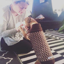 Indlæs billede til gallerivisning den ikoniske hundesweater, TRIANGEL