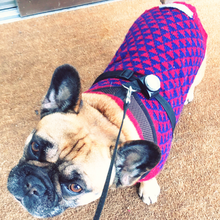 Indlæs billede til gallerivisning den ikoniske hundesweater, TRIANGEL