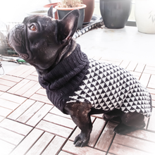 Indlæs billede til gallerivisning den ikoniske hundesweater, TRIANGEL