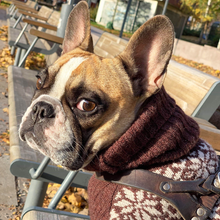 Indlæs billede til gallerivisning den ikoniske hundesweater, STJERNE