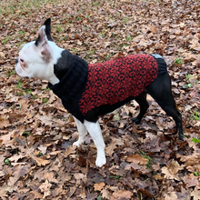 Indlæs billede til gallerivisning den ikoniske hundesweater, STJERNE