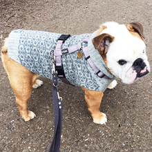Indlæs billede til gallerivisning den ikoniske hundesweater, BOBLER