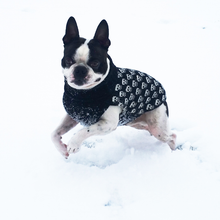 Indlæs billede til gallerivisning den ikoniske hundesweater, SKULL