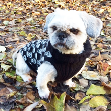 Indlæs billede til gallerivisning den ikoniske hundesweater, SKULL