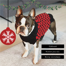 Indlæs billede til gallerivisning den ikoniske hundesweater, HJERTE