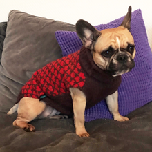 Indlæs billede til gallerivisning den ikoniske hundesweater, HJERTE