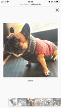 Indlæs billede til gallerivisning den ikoniske hundesweater, HJERTE