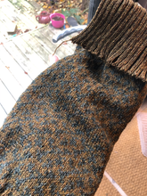 Indlæs billede til gallerivisning den ikoniske hundesweater, SPECIAL