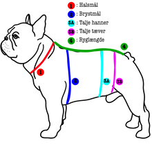 Indlæs billede til gallerivisning den ikoniske hundesweater, SPECIAL